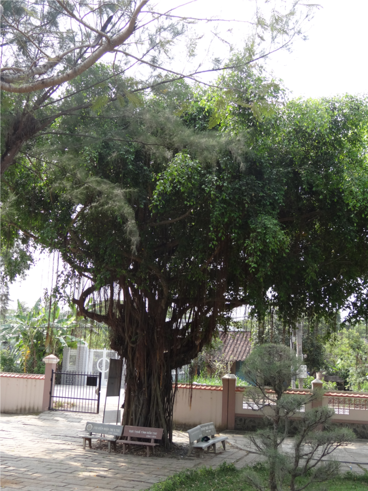 DSC03128-2.jpg